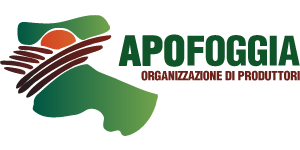Apo Foggia O.P.